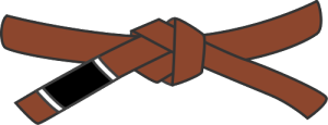 bjj-brown-belt